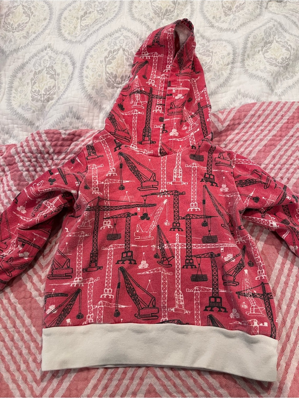 Kids Red Crane & Crane-Print Hoodie Sweatshirt